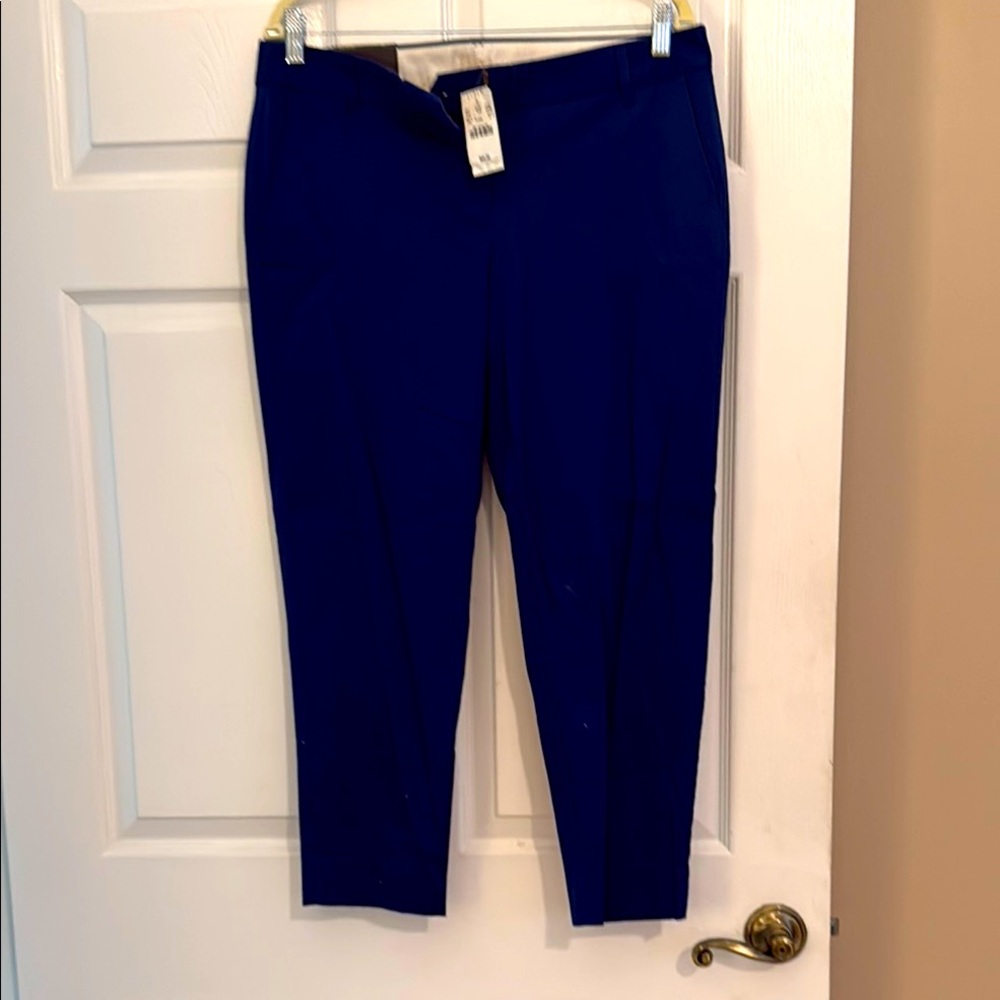 J. Crew Navy Blue Stretch Pants